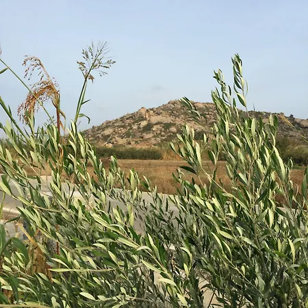 Depis Edem Luxury * Plaka (Naxos)