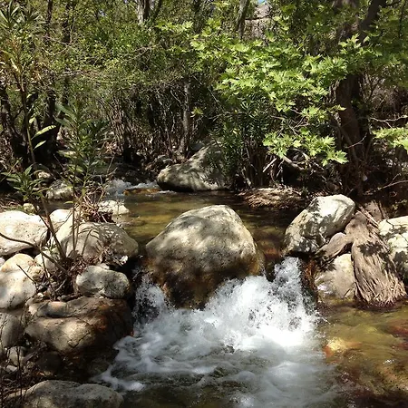 Depis Edem Luxury Plaka (Naxos)