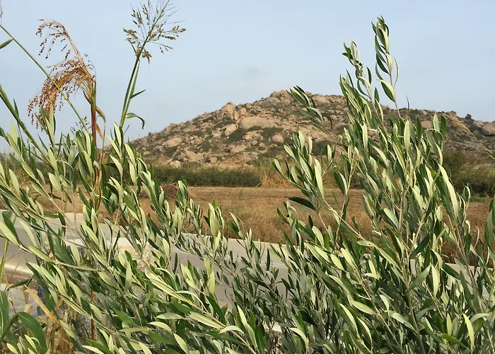 Depis Edem Luxury * Pláka